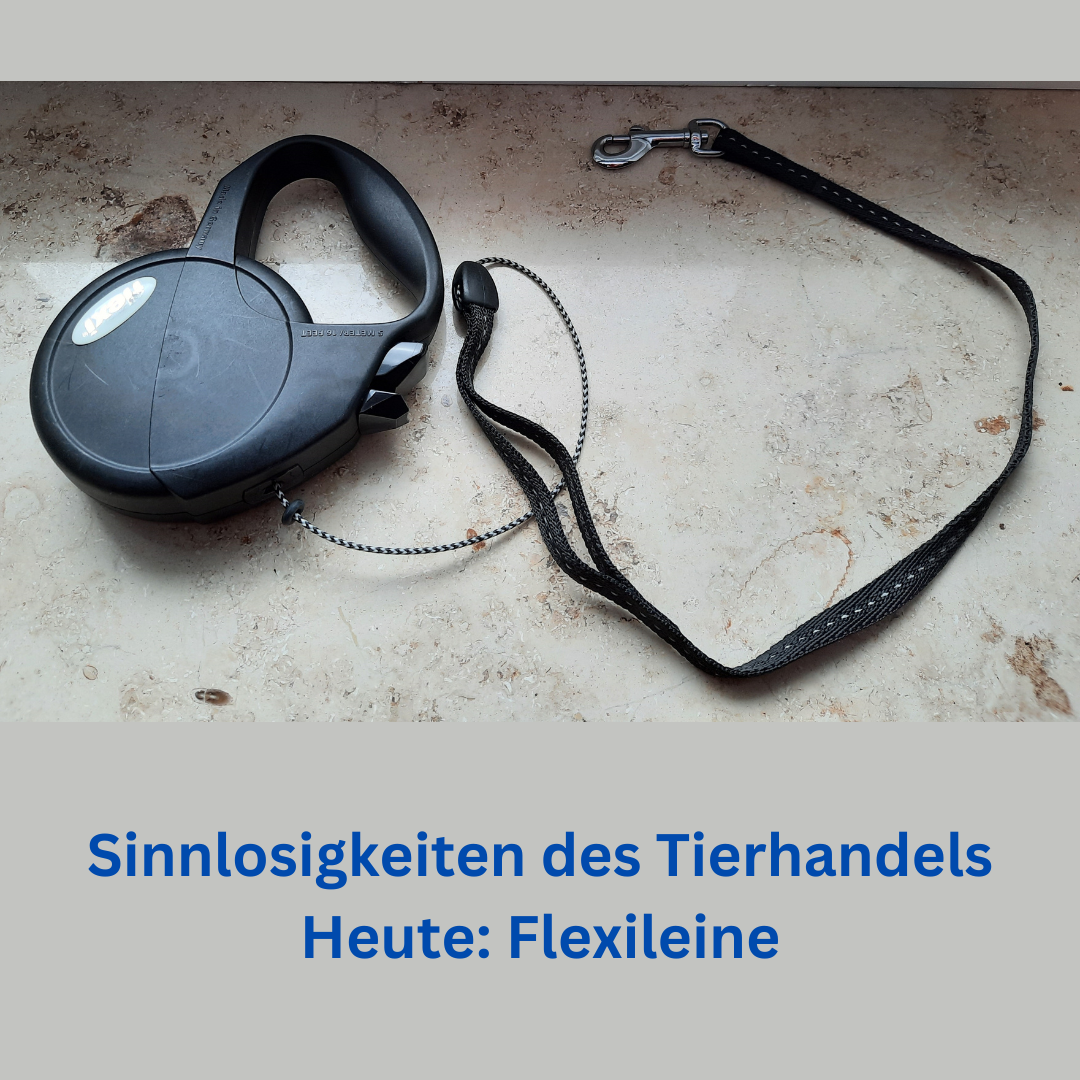 23-03-26 Flexileine.png